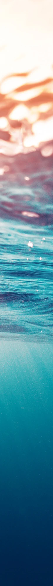 Header 1
